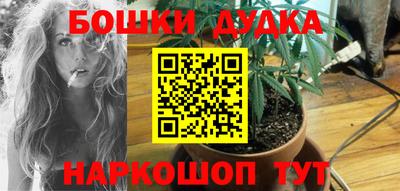 гидра Можга
