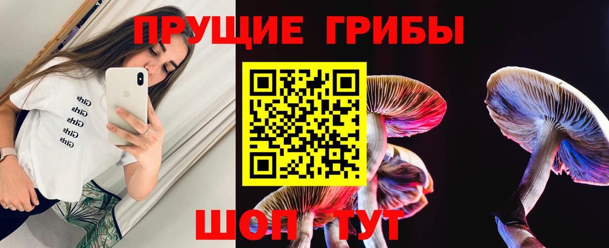 Галлюциногенные грибы GOLDEN TEACHER  Вход с VPN  Чебоксары 